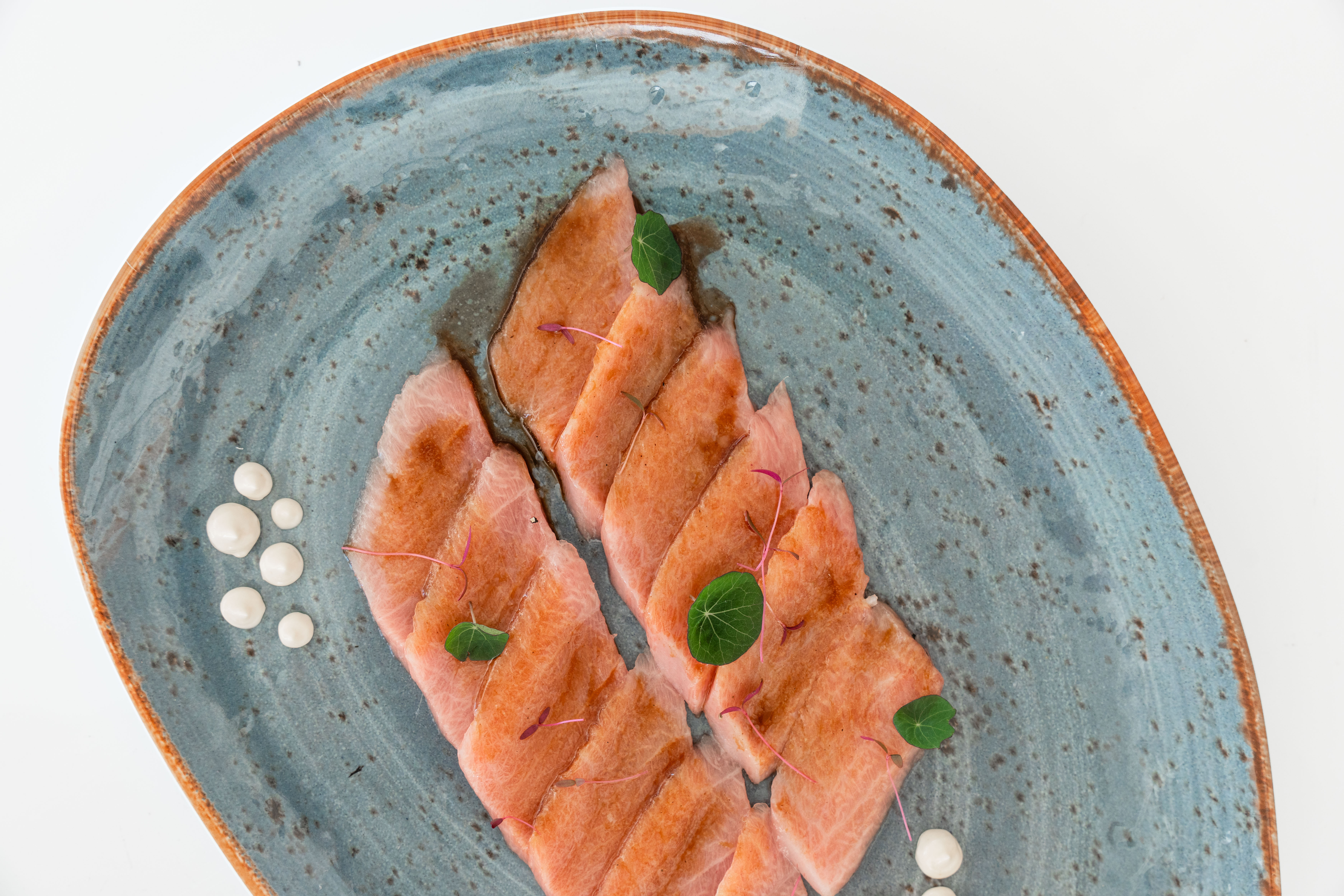 Plato de salmón 5